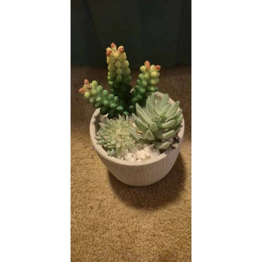 Artificial Potted Plants FEJKA IKEA + Mainstays Succulent +‎ White...
